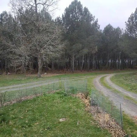 Dom wakacyjny En Foret